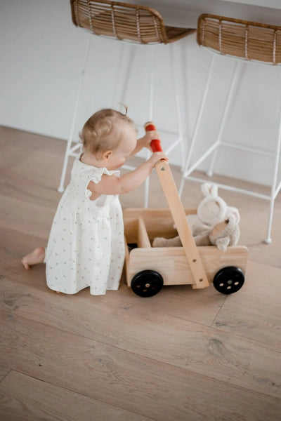 Classic Baby Walker